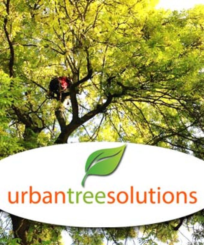 Urban Tree Solutions Ltd