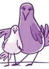 Purple Dove Media